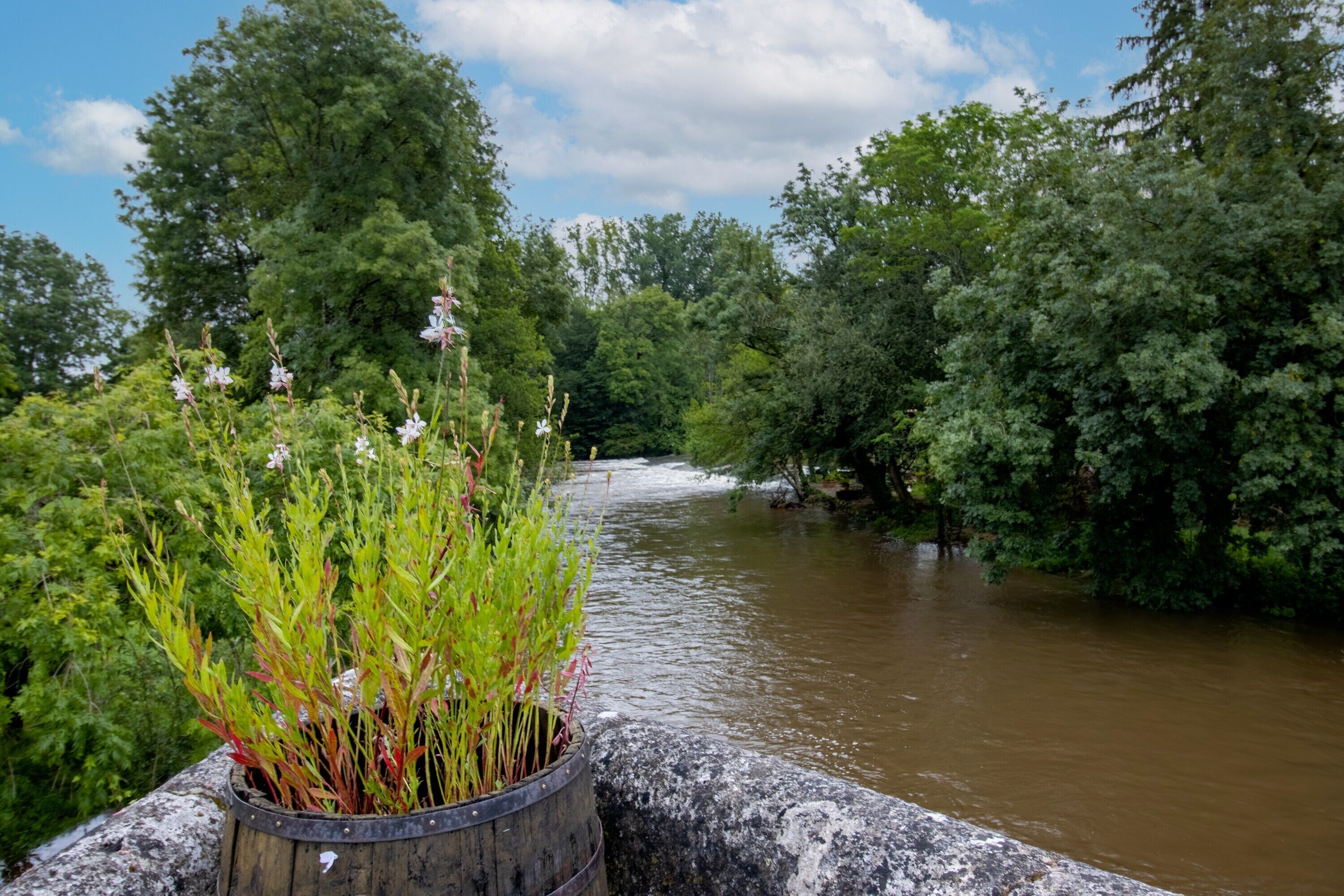 Ein Fluss mit üppigem Grün entlang der Ufer, ein Holzfass mit Pflanzen und einem klaren Himmel.