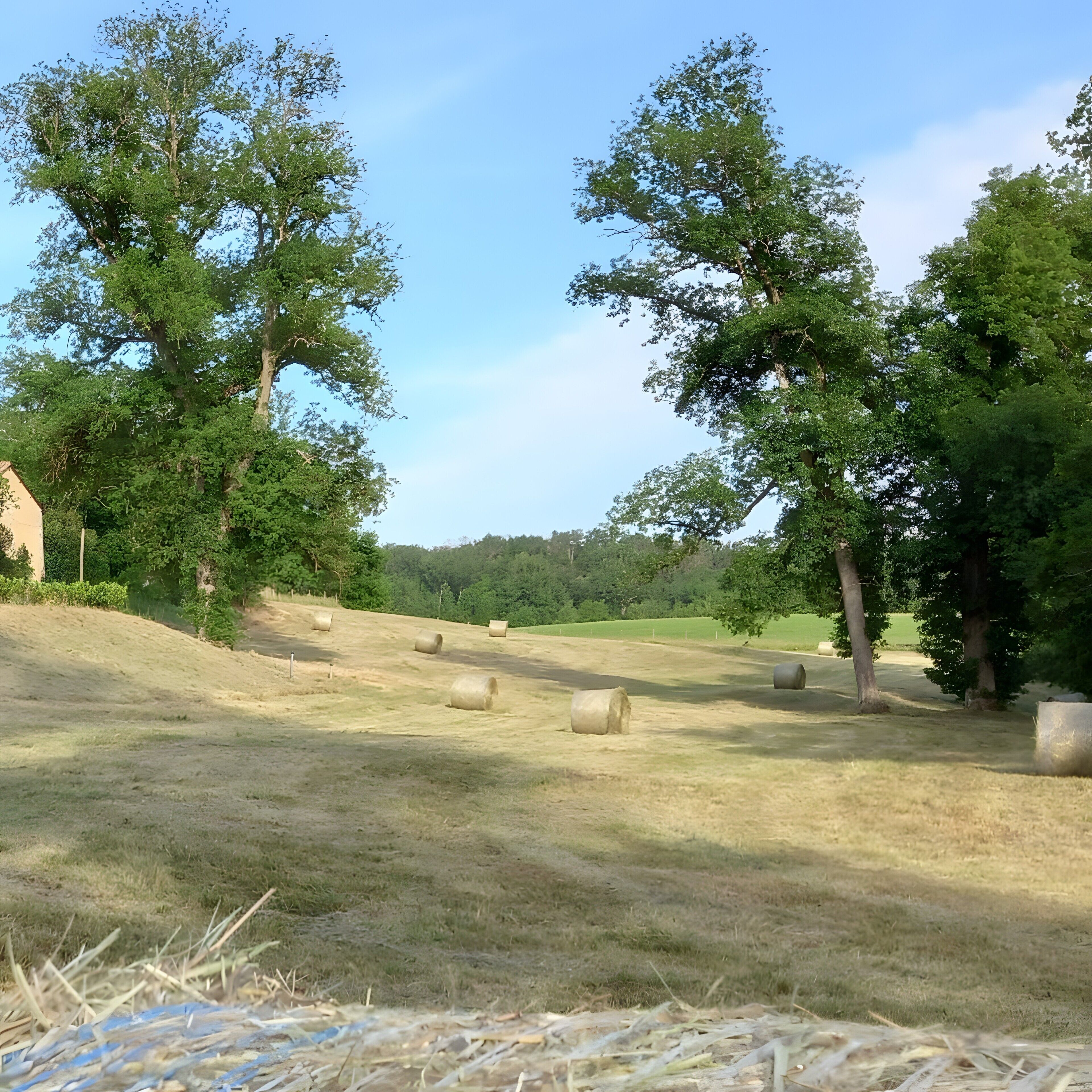 A rural landscape with hay bales, trees, and a clear sky.