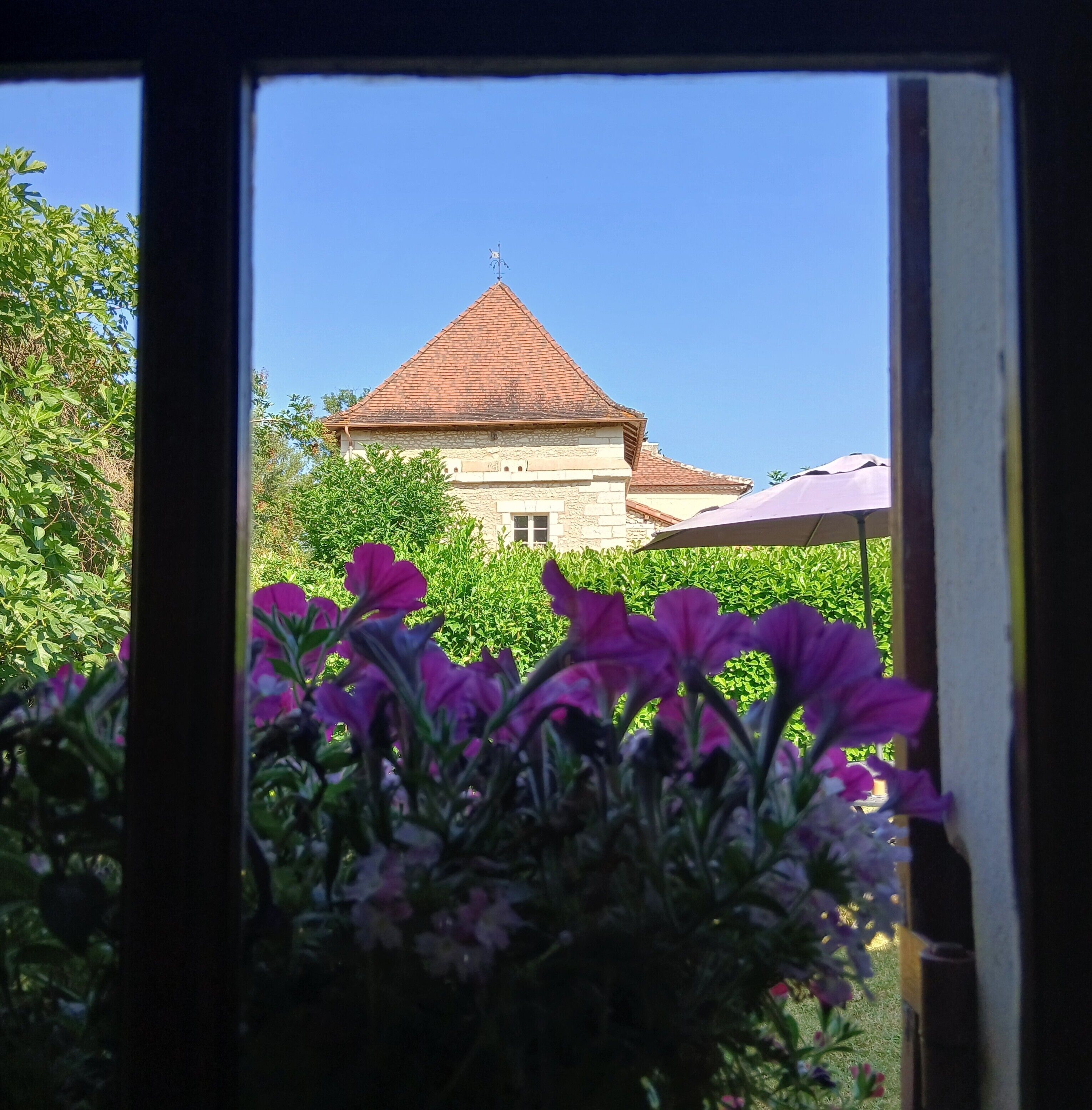 A view through a window of a building with a red roof, surrounded by greenery and flowers.