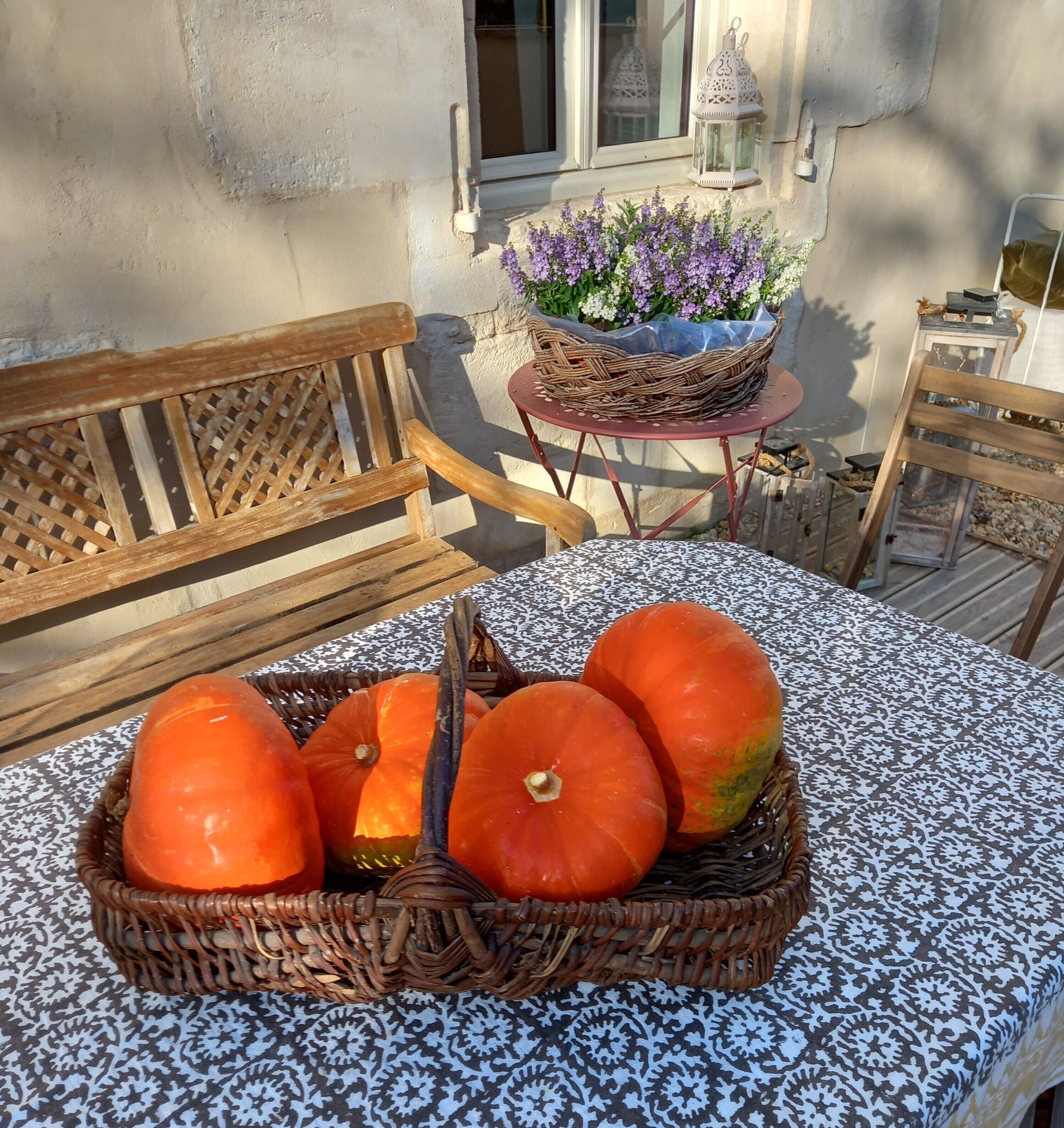 A wicker basket with pumpkins on a patterned tablecloth, a wooden bench, a small round table with a wicker basket, and a potted plant with purple flowers.