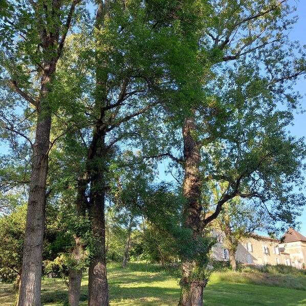 Terrein van de accommodatie