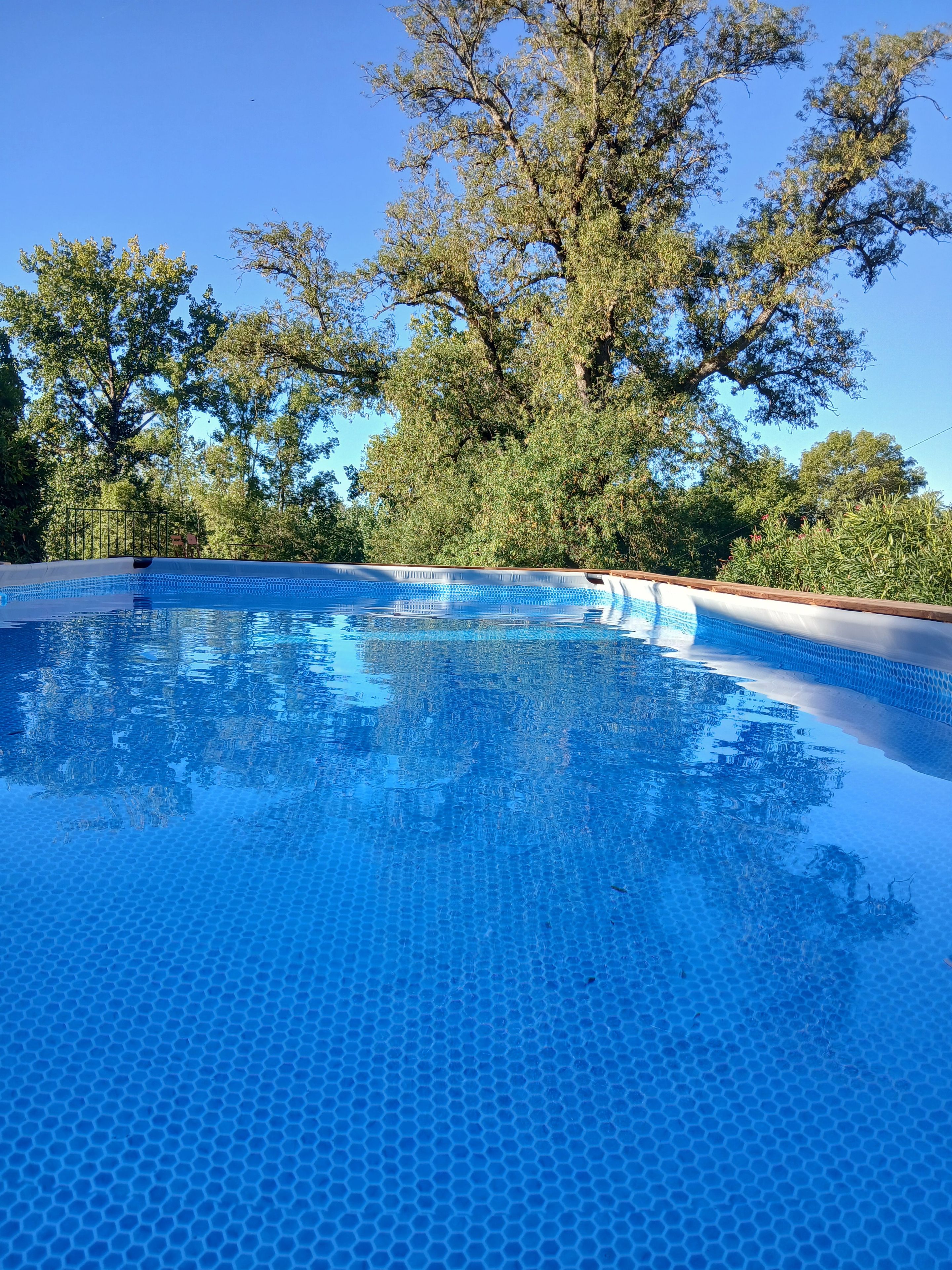 Ein klares, blaues Schwimmbecken mit einer gefliesten Kante, umgeben von Bäumen und einem wolkenlosen Himmel.