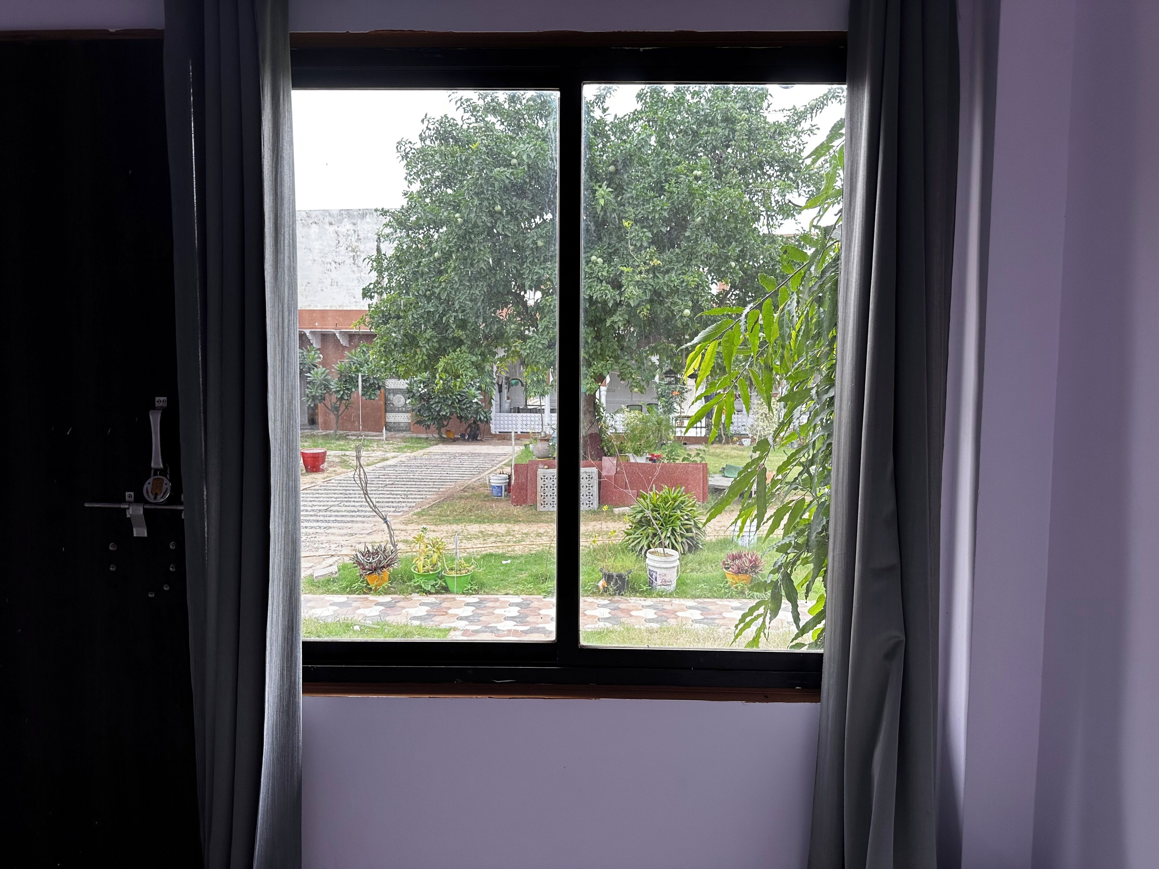 Una ventana con vista a un patio con plantas en macetas y un sendero empedrado.