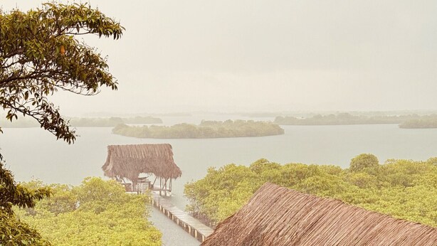 A tropical landscape with a thatched-roof structure and a wooden pier extending into a body of water. - Lima Limón Eco Island - Panama (Bocas del Toro)