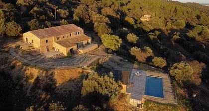 Mimosa Lodge