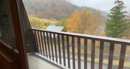 Komfortable F2 bis mit Balkon an der Piste und Parkplatz, Mont-Dore