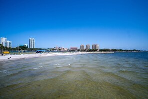 Beach - Downtown Studio w/ Free Parking & City Views (St. Petersburg)