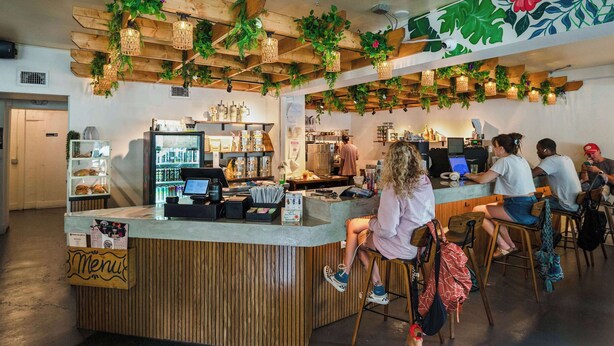 Een café met een houten toonbank, barstoelen en hangende planten.