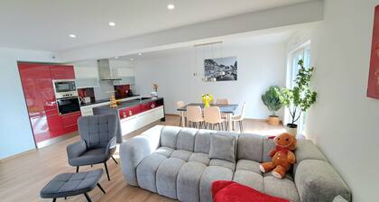 Chez Fernand in Colmar New house with garden and parking included