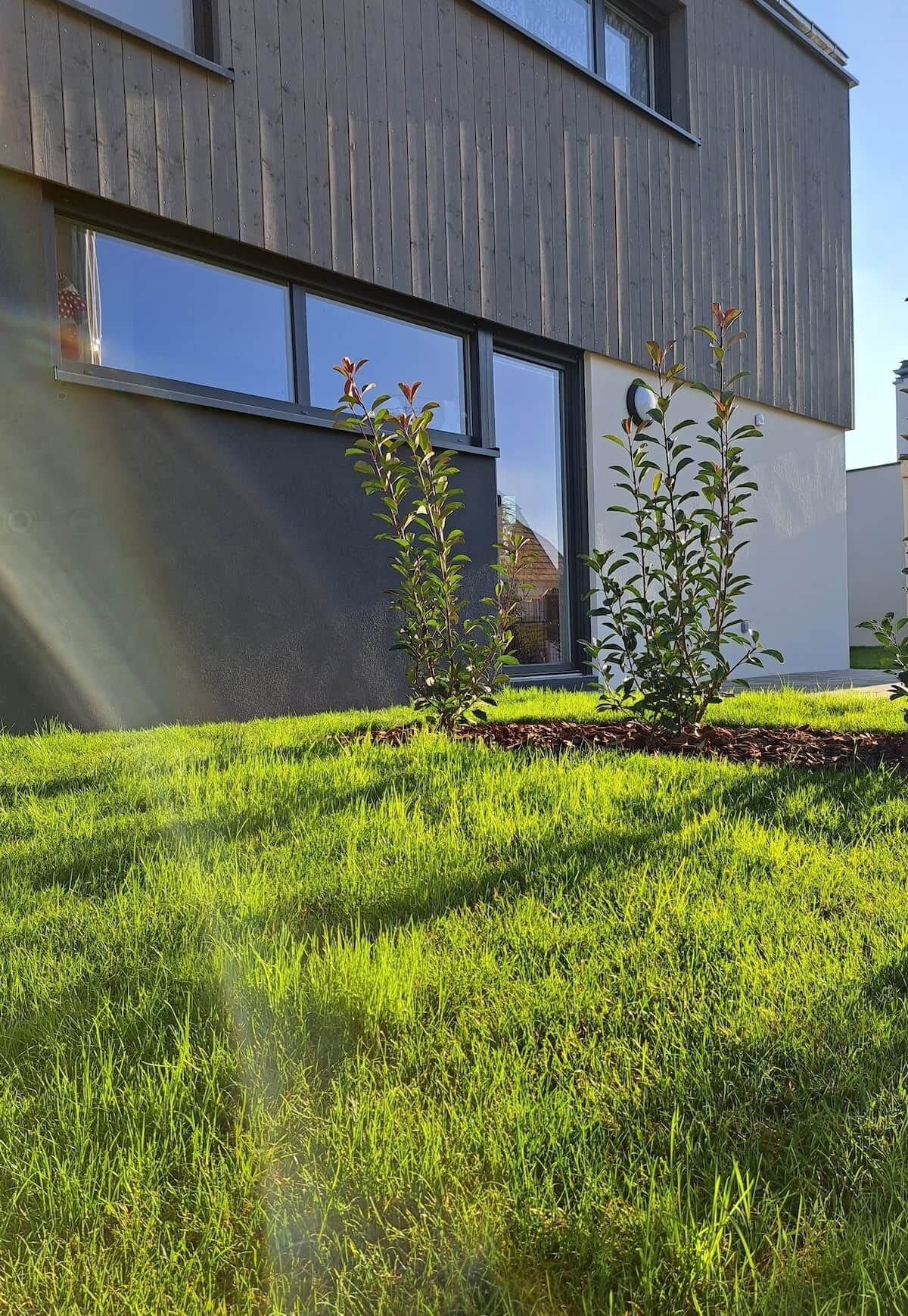 Een modern gebouw met een plat dak, grote ramen en een verzorgd gazon met kleine struiken.