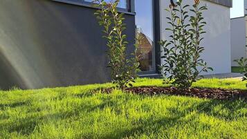 Een modern gebouw met een plat dak, grote ramen en een verzorgd gazon met kleine struiken.