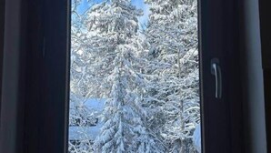 Eine Tür mit Blick auf schneebedeckte Bäume und einen klaren, blauen Himmel.
