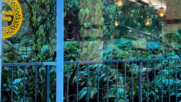 Un exuberante jardín interior con diversas plantas y un comedero decorativo.