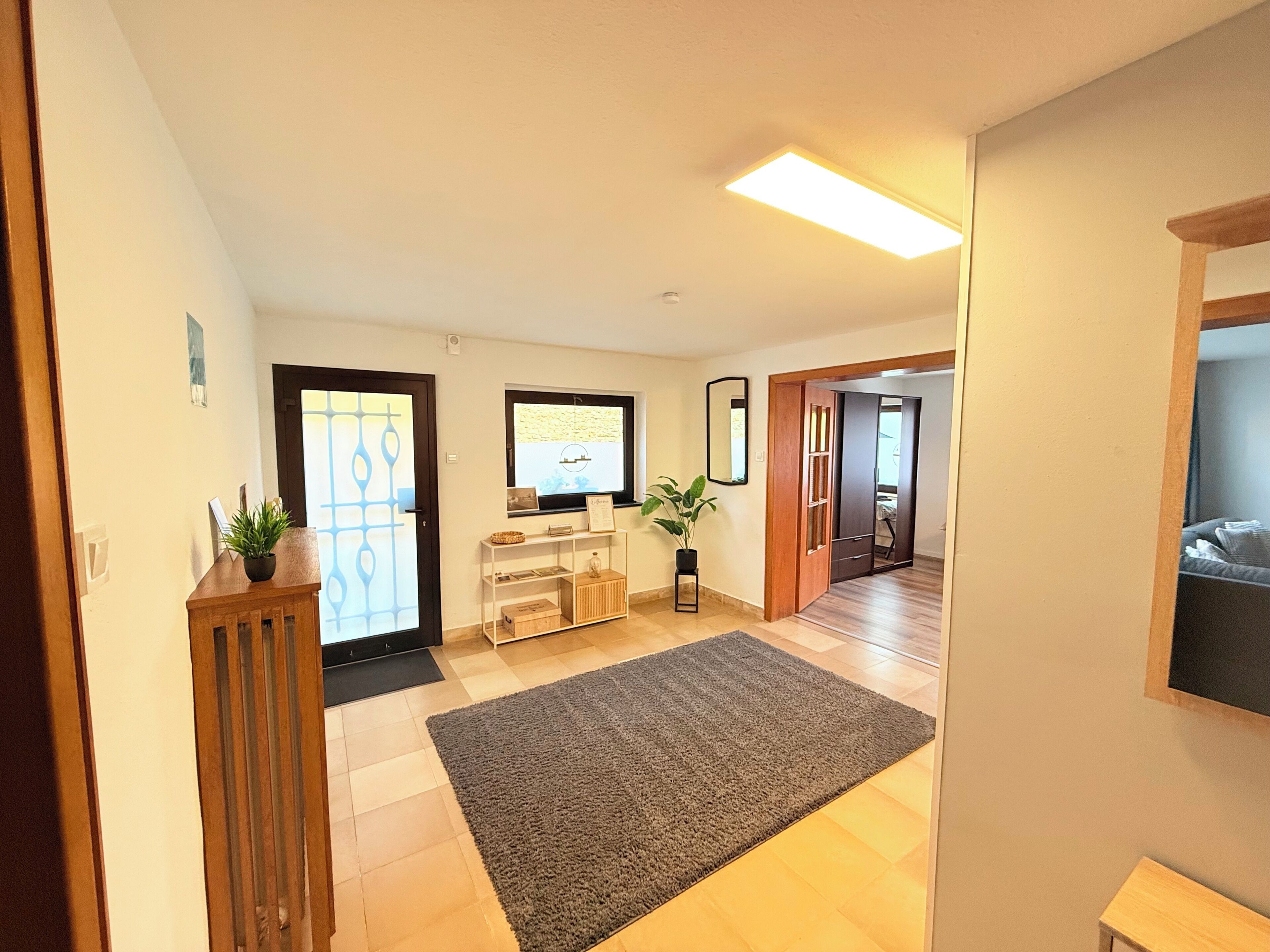 Un couloir avec un plancher en bois, un tapis gris, une plante en pot et un téléviseur fixé au mur.