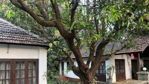 A traditional house with a tiled roof, a large tree in front, and a paved pathway. - ND Film City and Heritage Theme Resort (Khalapur)