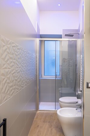 Shower, hair dryer, bidet, towels