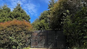 Property grounds - Bio Cabin (Santa Elena)