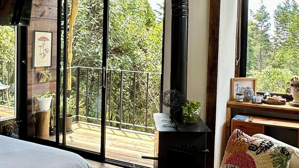 Room - Bio Cabin (Santa Elena)