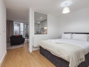 標準開放式客房, 1 張特大雙人床 (0 Bedroom) | 熨斗/熨衫板