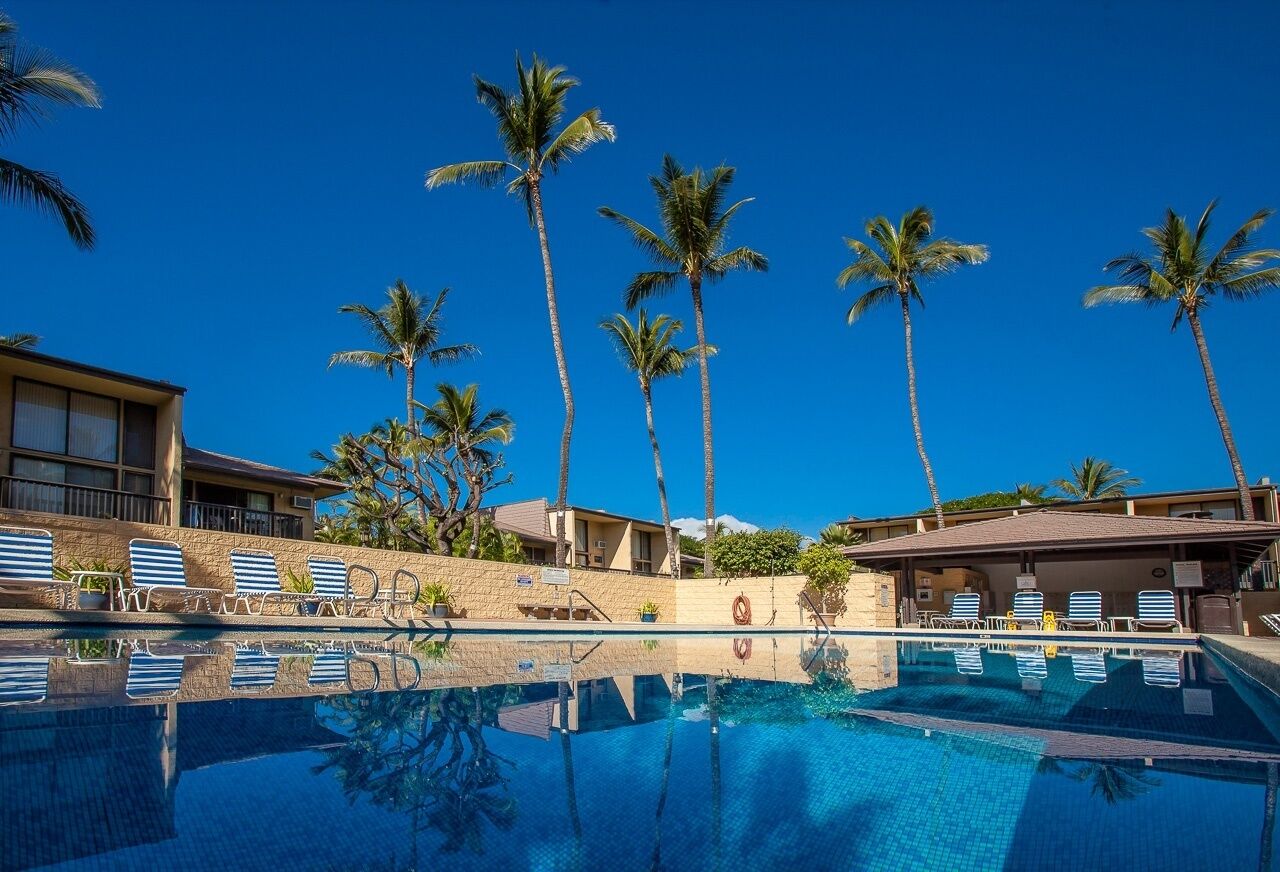A pool area with lounge chairs, palm trees, and a building with a stone facade.