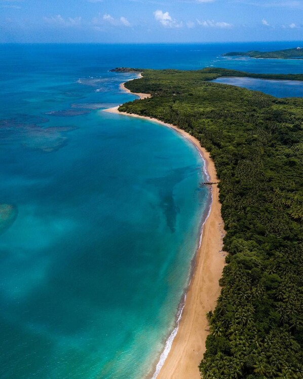 Plage à proximité