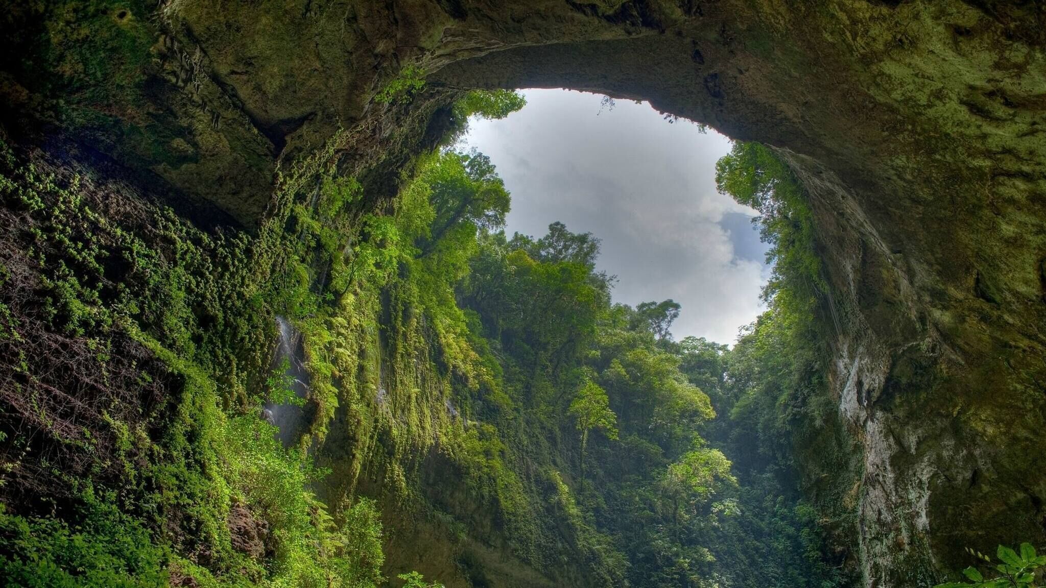 Apertura natural de una cueva con vegetación exuberante en su interior.