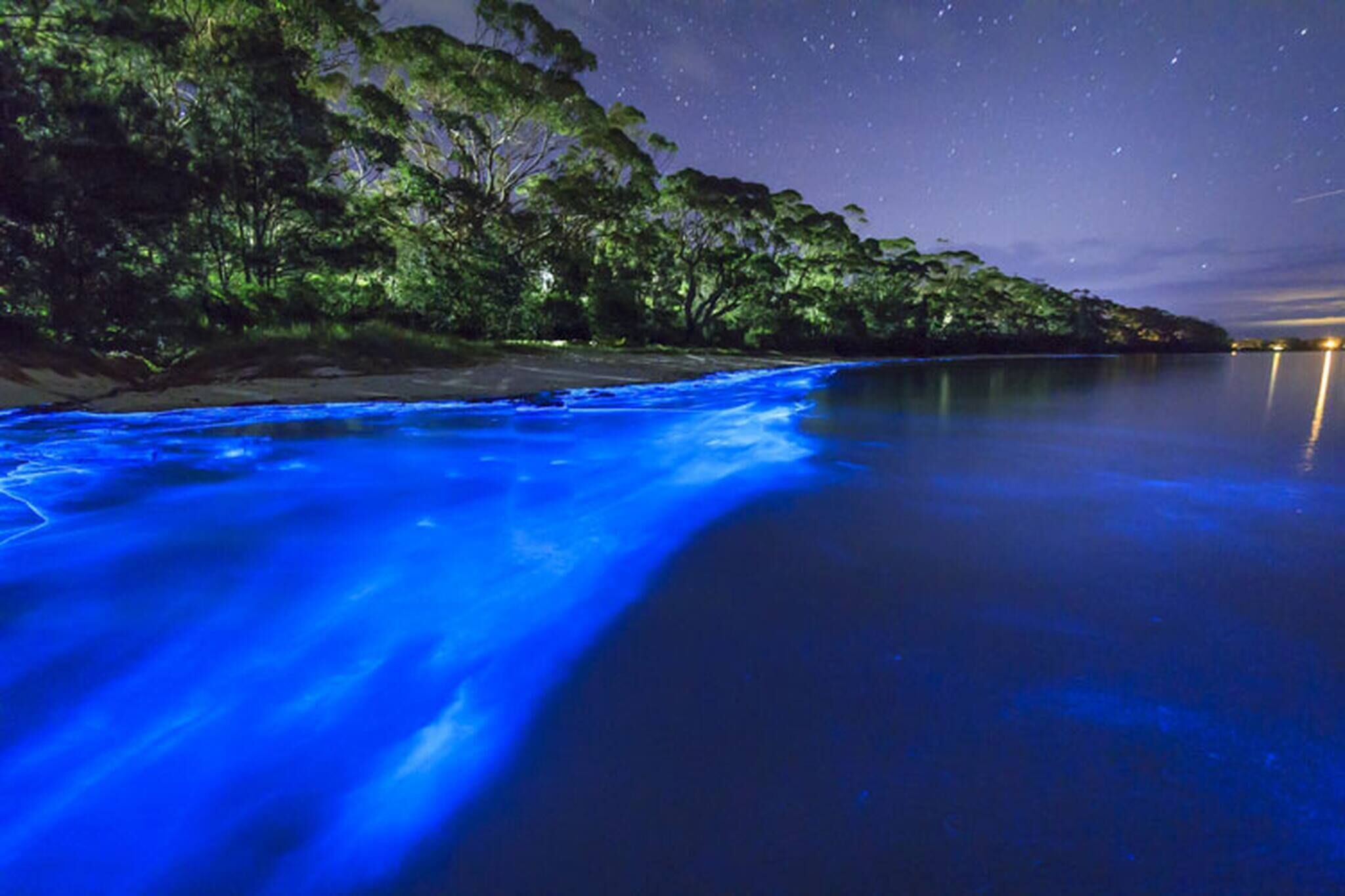 Una escena nocturna de un río bajo un cielo estrellado.
