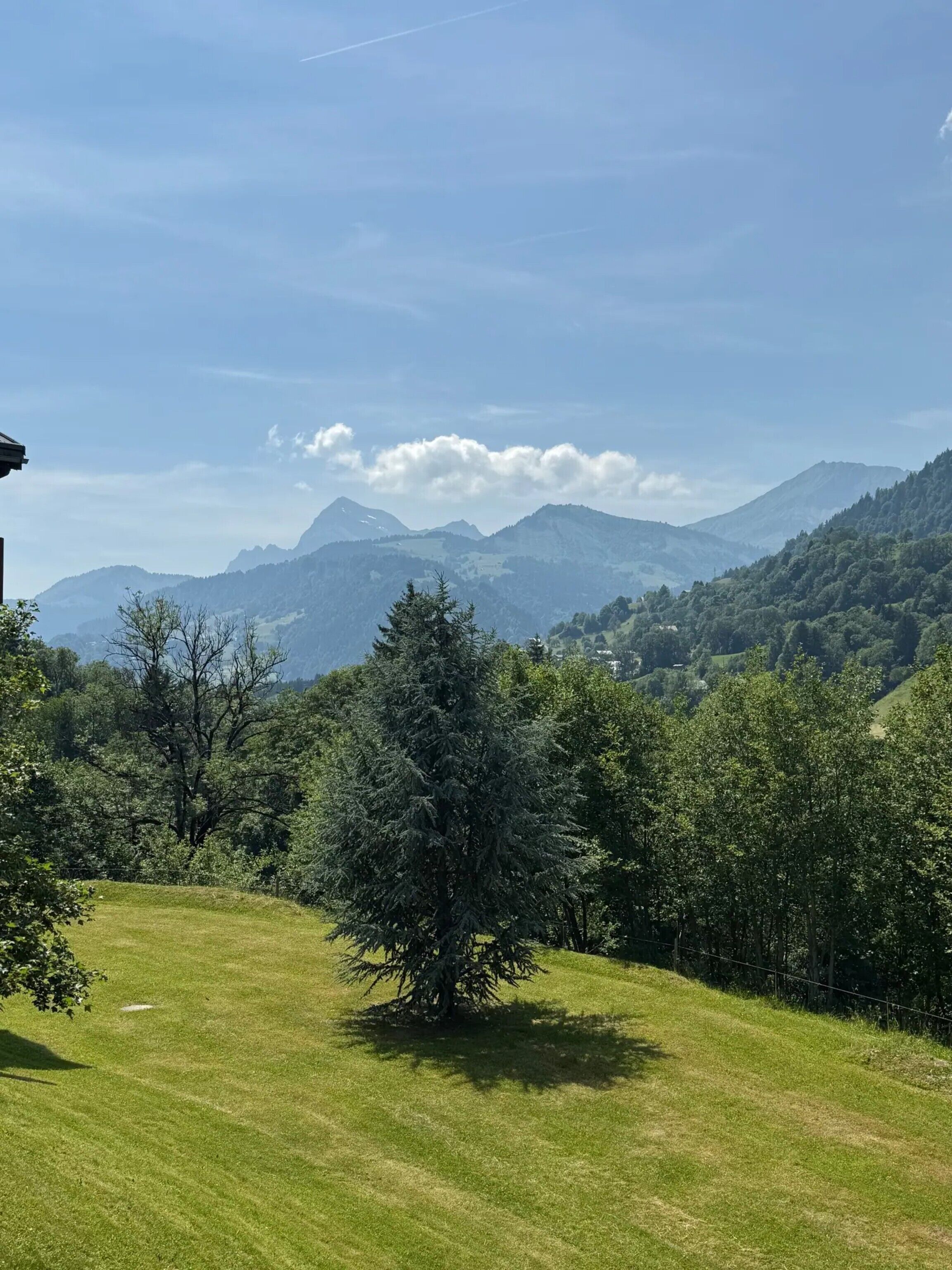 Un campo cubierto de hierba con un árbol solitario y montañas lejanas bajo un cielo despejado.