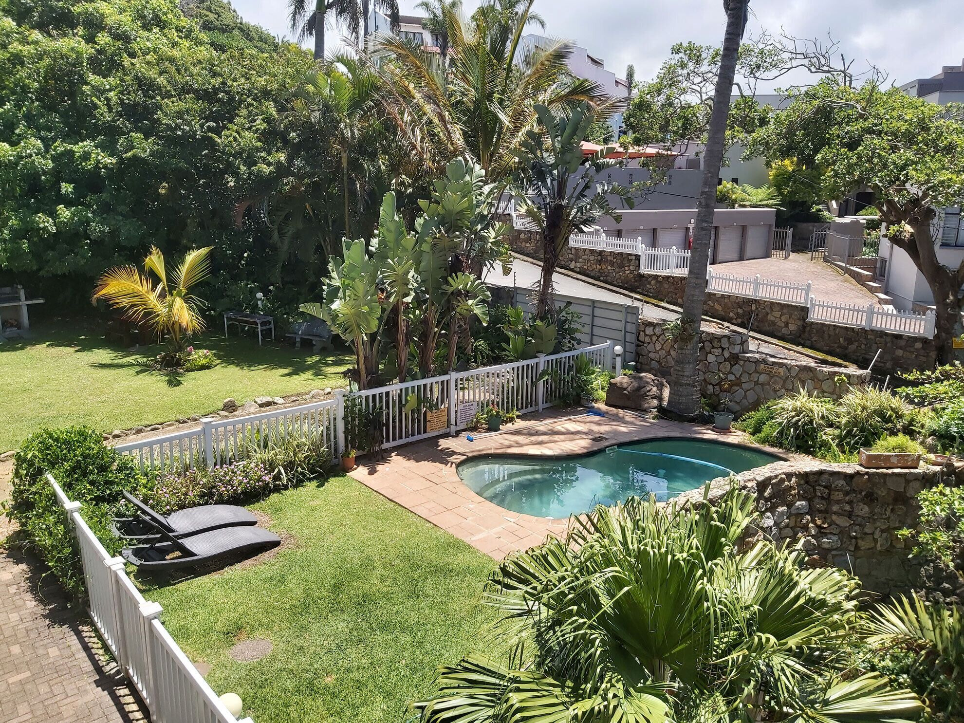 Un patio trasero con piscina, rodeado de vegetación exuberante y una cerca blanca.