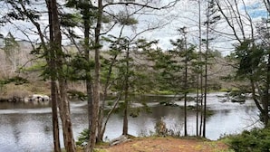 Paisaje natural con un lago rodeado de árboles y un sendero de tierra.