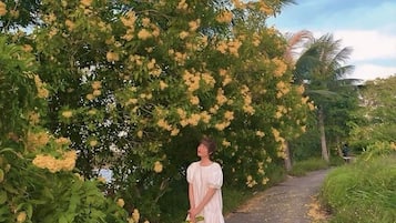 City Villa, 5 Bedrooms, Beachfront | Garden view