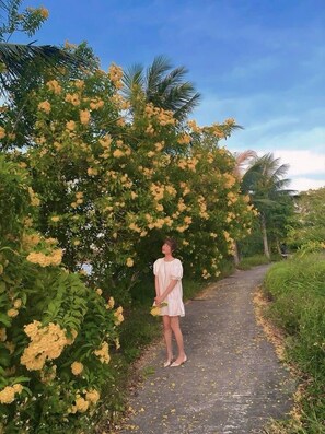 City Villa, 5 Bedrooms, Beachfront | Garden view - Villa 5 Phong Ngu Royal Lotus Bai Chay (Ha Long)