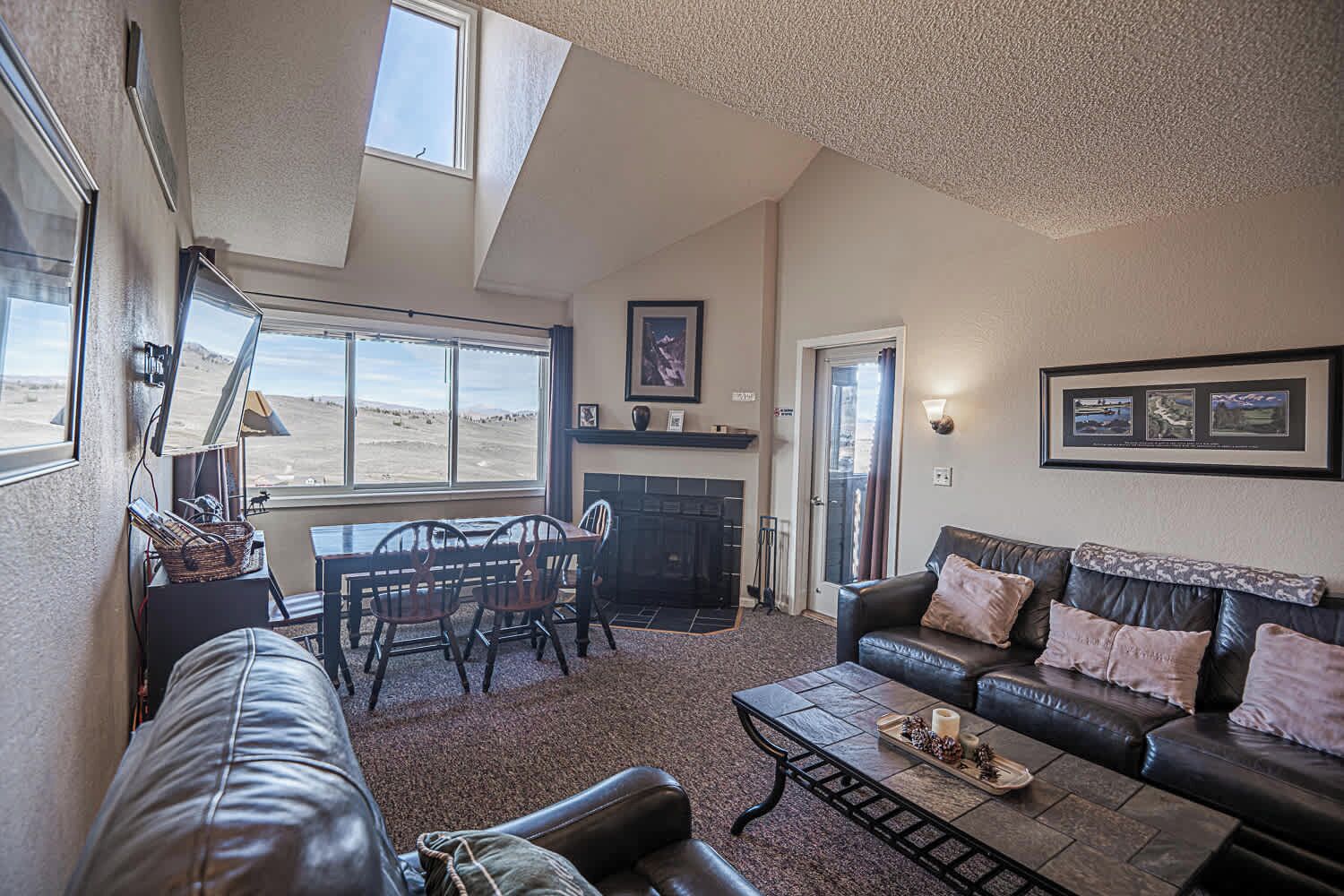 电视、壁炉、电子游戏、DVD 播放器