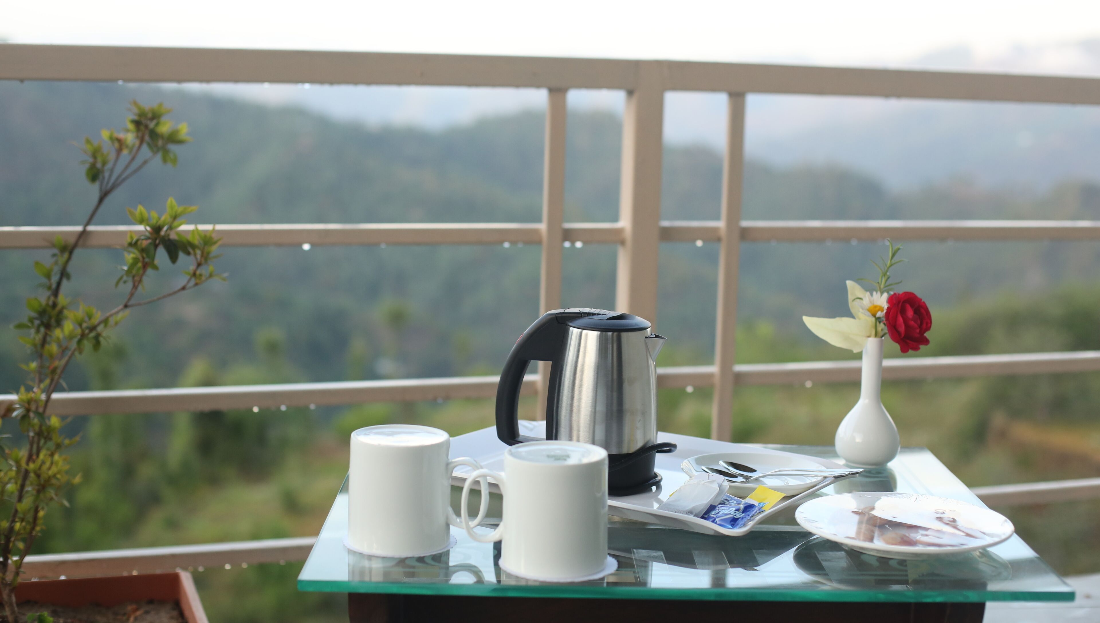 A table with a kettle, cups, a vase with flowers, and a plate with food on a balcony with a scenic view.