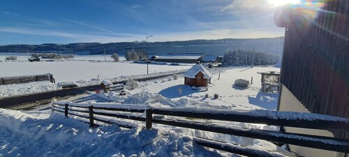 MAGNIFIQUE GITE CHALET 4* -SPECIALE REDUCTION NOEL - A SAISIR - 11 PERSONNES