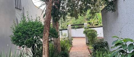 Apartment | 3 bedrooms