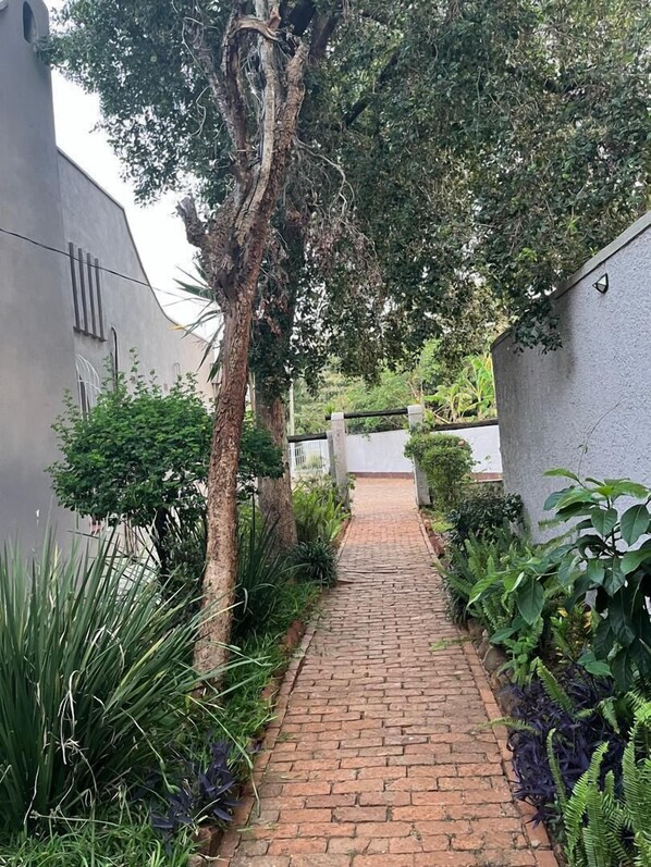 A brick pathway flanked by lush greenery and a white wall. - 4-bedroom Retreat With Lush Gardens Pool- 2346 (Harare)