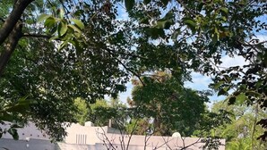 A pool area with a grassy lawn, a small tree, and a building with arched windows in the background. - 4-bedroom Retreat With Lush Gardens Pool- 2346 (Harare)