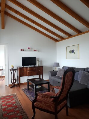 Smart TV, chimenea, libros y estéreo 