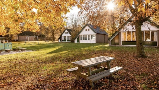 A picnic table in a park with houses in the background.