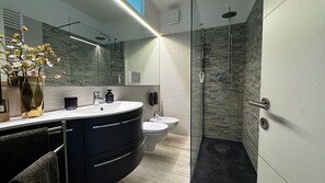Shower, hair dryer, bidet, towels