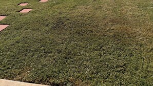 Uma área gramada com cerca e um corpo d'água ao fundo.