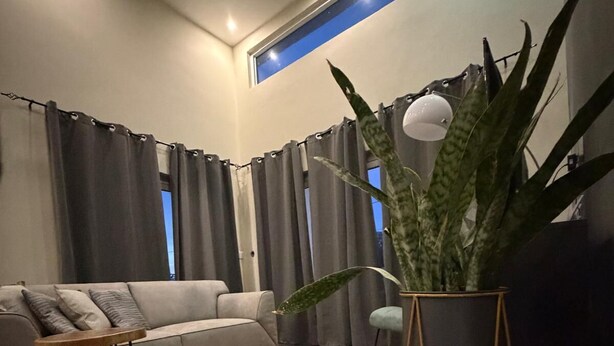 Una sala de estar moderna con un sofá, una mesita de centro, una planta en maceta y un ventanal con cortinas.