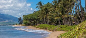 Ocean-View Comfort at Kihei Garden Estates C204