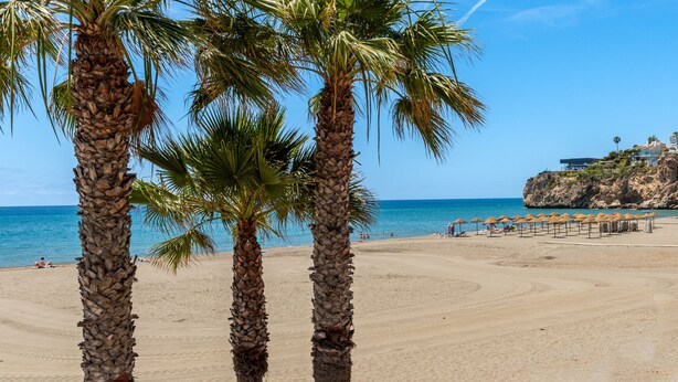Una playa con palmeras, orilla de arena y un edificio con un acantilado al fondo.