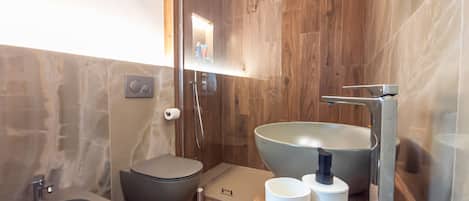 Shower, hair dryer, bidet, towels