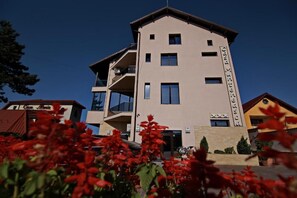 Front of property - Casa Munteneasca Alessandro (Bradu)