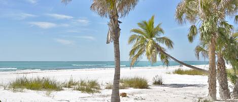 Condo, Multiple Beds (Pelican Watch #108) | Beach | On the beach