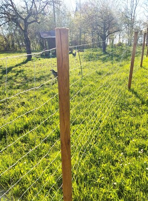A grassy field with a wooden post and wire fence.