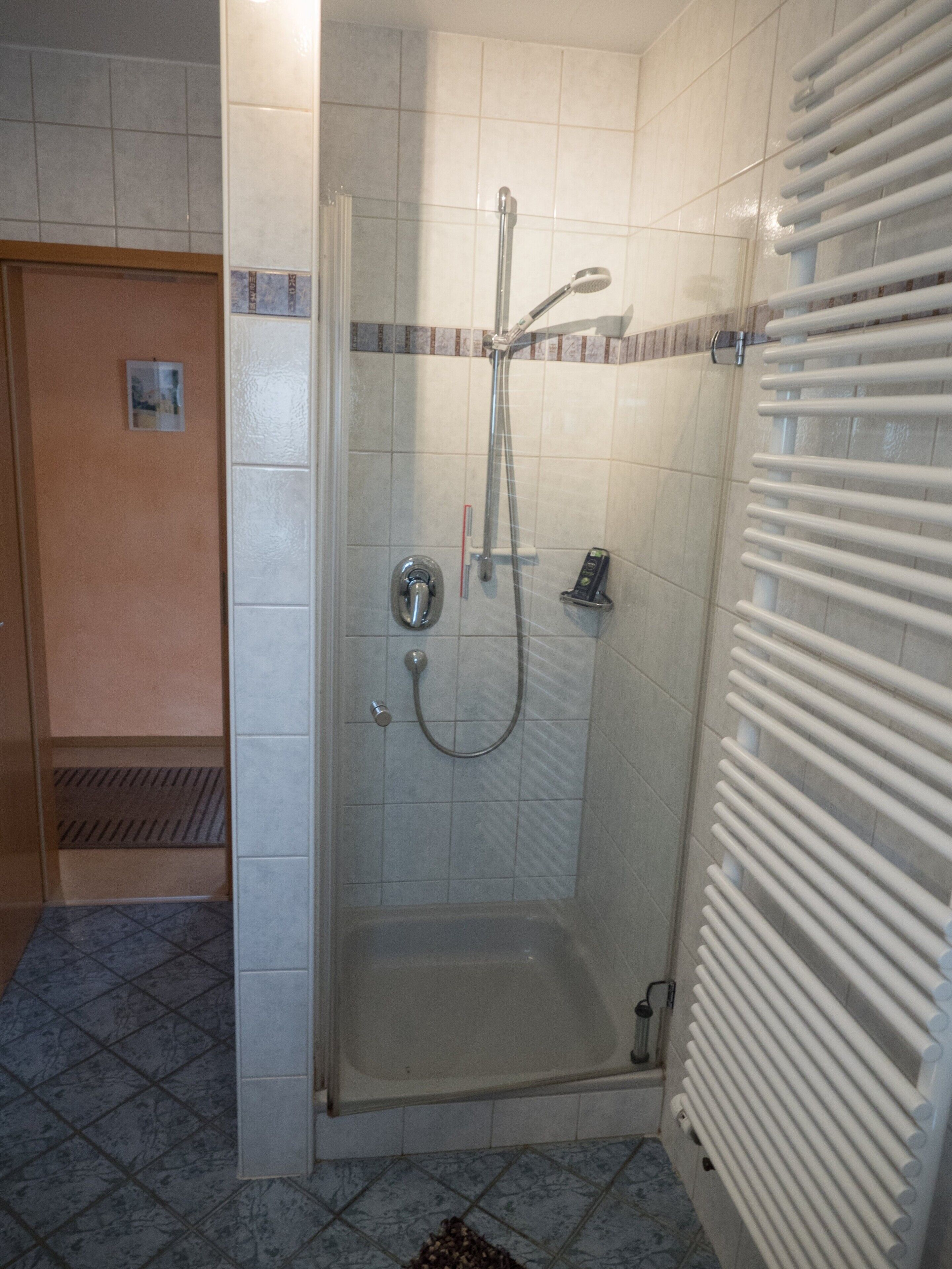Dusche, Haartrockner, Handtücher